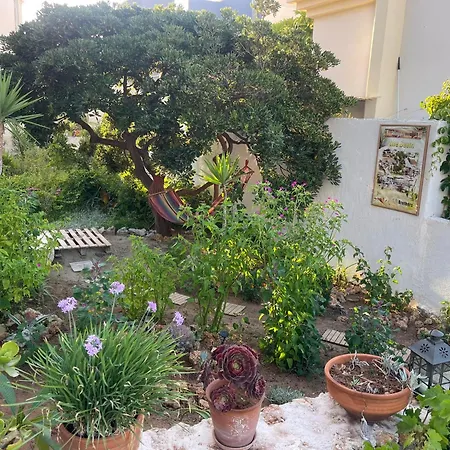 Apartmán Dedalos Stalida